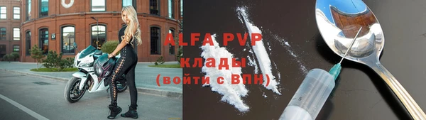 дмт Болотное