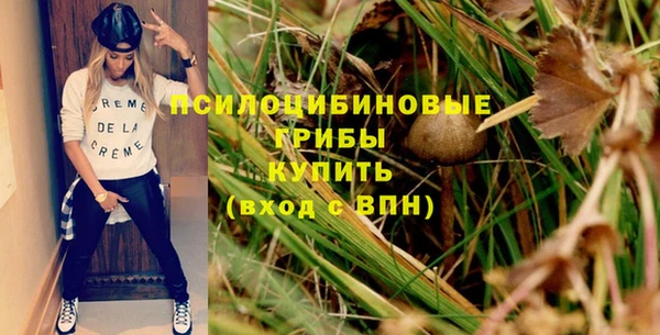 наркотики Новозыбков