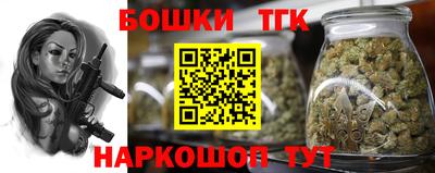 гидропоника Кингисепп