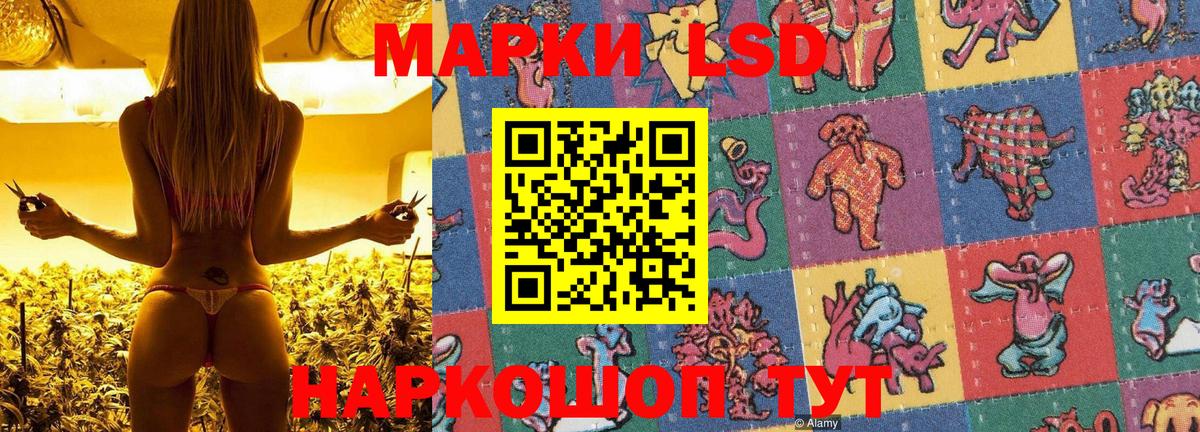 Марки NBOMe 1,5мг Котлас