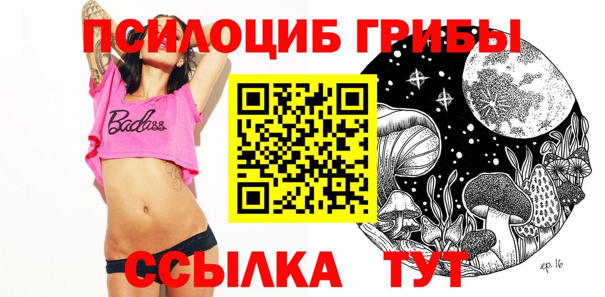 Галлюциногенные грибы Psilocybe Котлас