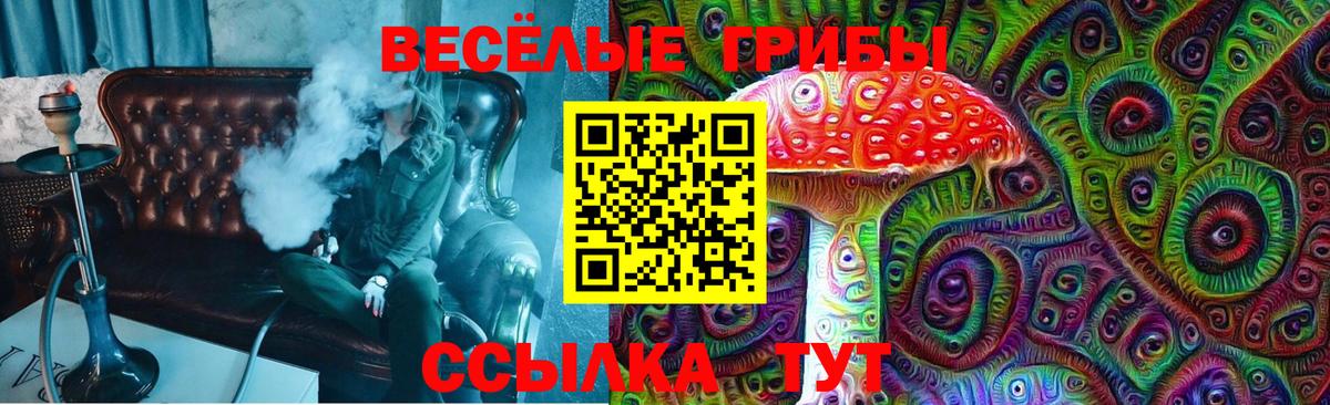 Котлас  Галлюциногенные грибы Cubensis  Вход с VPN  где можно купить наркотик  Псилоцибиновые грибы Magic Shrooms 