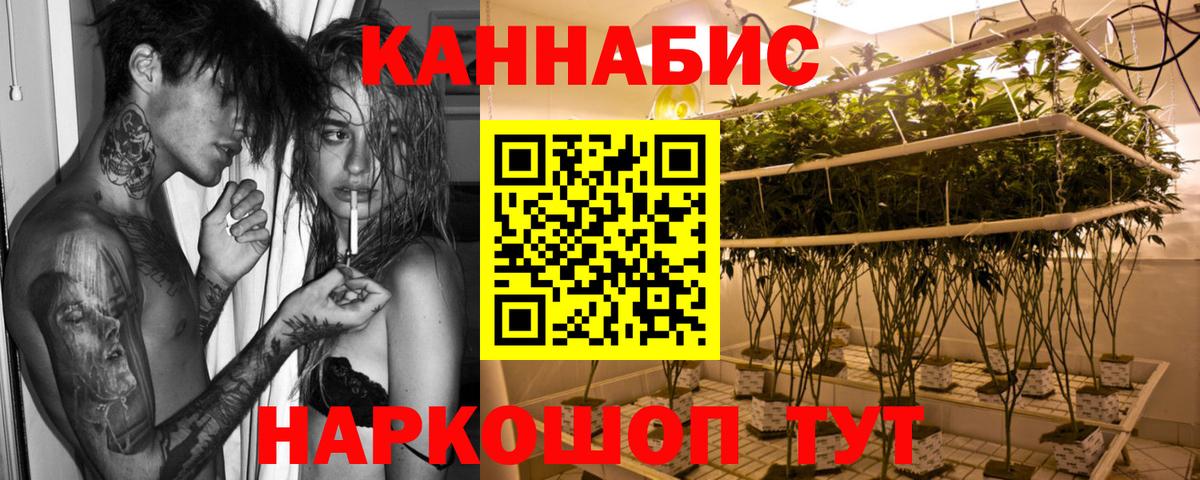 Конопля семена Котлас